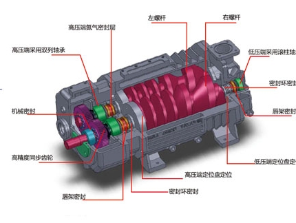 等距螺桿真空泵組成結(jié)構(gòu)圖